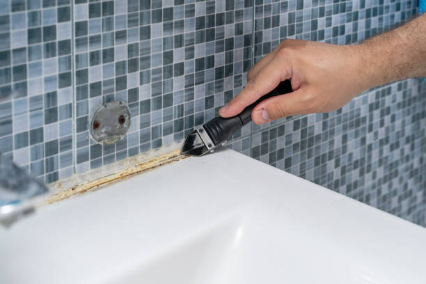 Best Localized Mold Remediation (e.g., coastal areas, humid climates) in Bells, TX